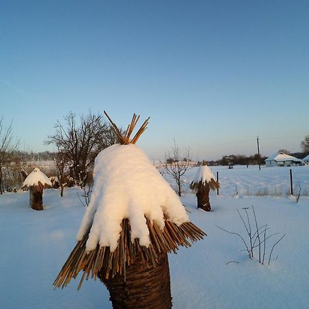 Koryakivskyi Rai Guest House Dmitrenki ภายนอก รูปภาพ