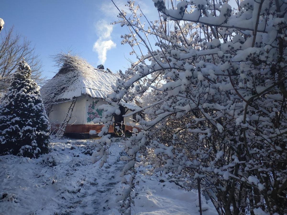 Koryakivskyi Rai Guest House Dmitrenki ภายนอก รูปภาพ