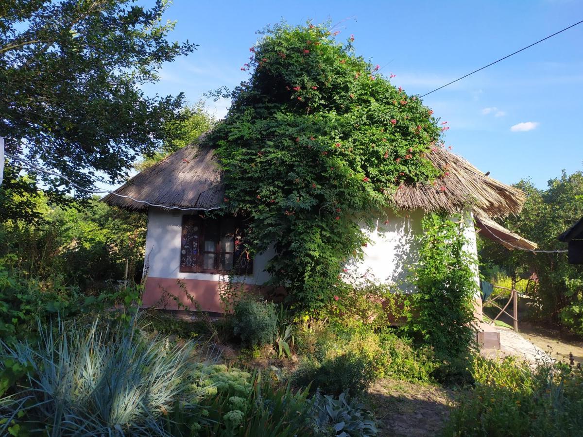 Koryakivskyi Rai Guest House Dmitrenki ภายนอก รูปภาพ