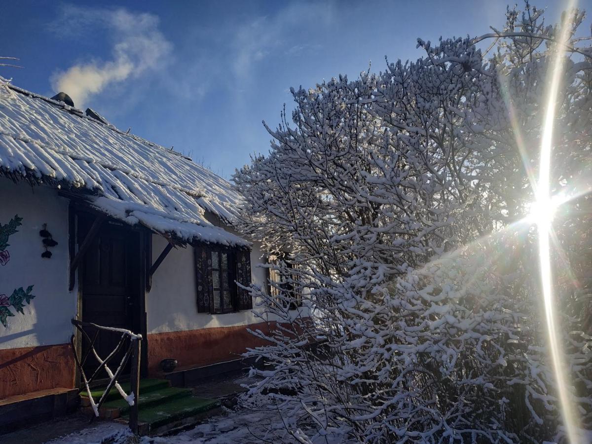 Koryakivskyi Rai Guest House Dmitrenki ภายนอก รูปภาพ