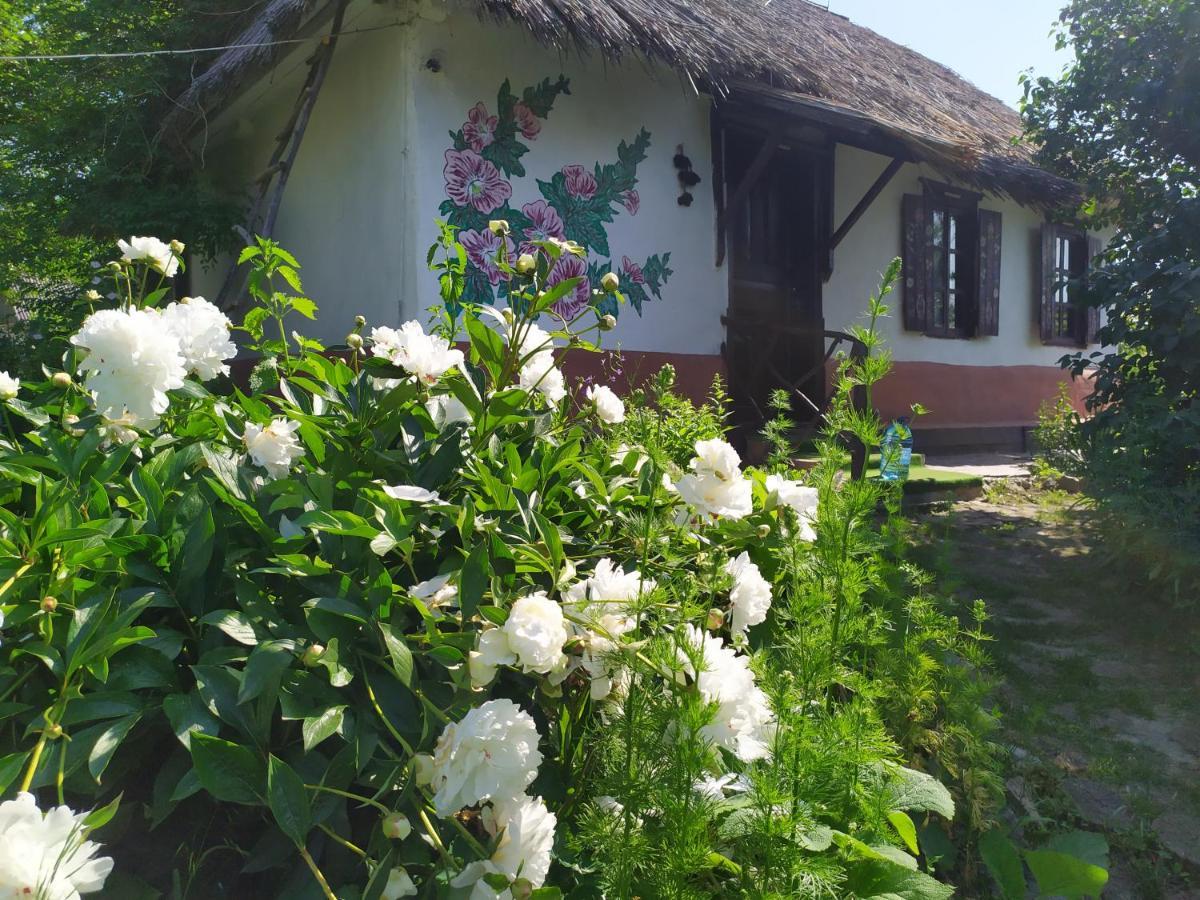 Koryakivskyi Rai Guest House Dmitrenki ภายนอก รูปภาพ