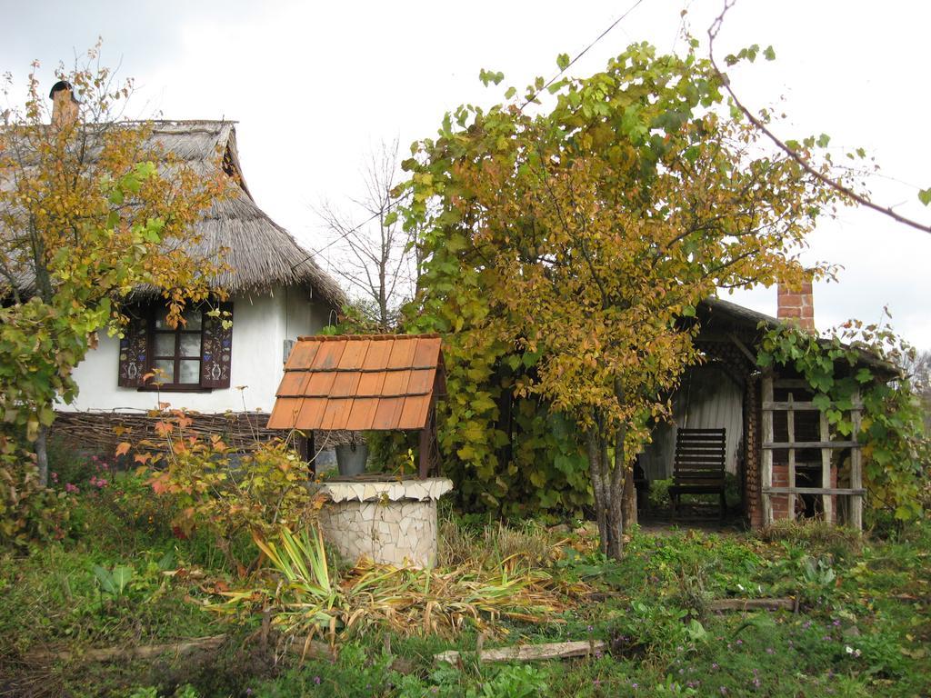 Koryakivskyi Rai Guest House Dmitrenki ภายนอก รูปภาพ