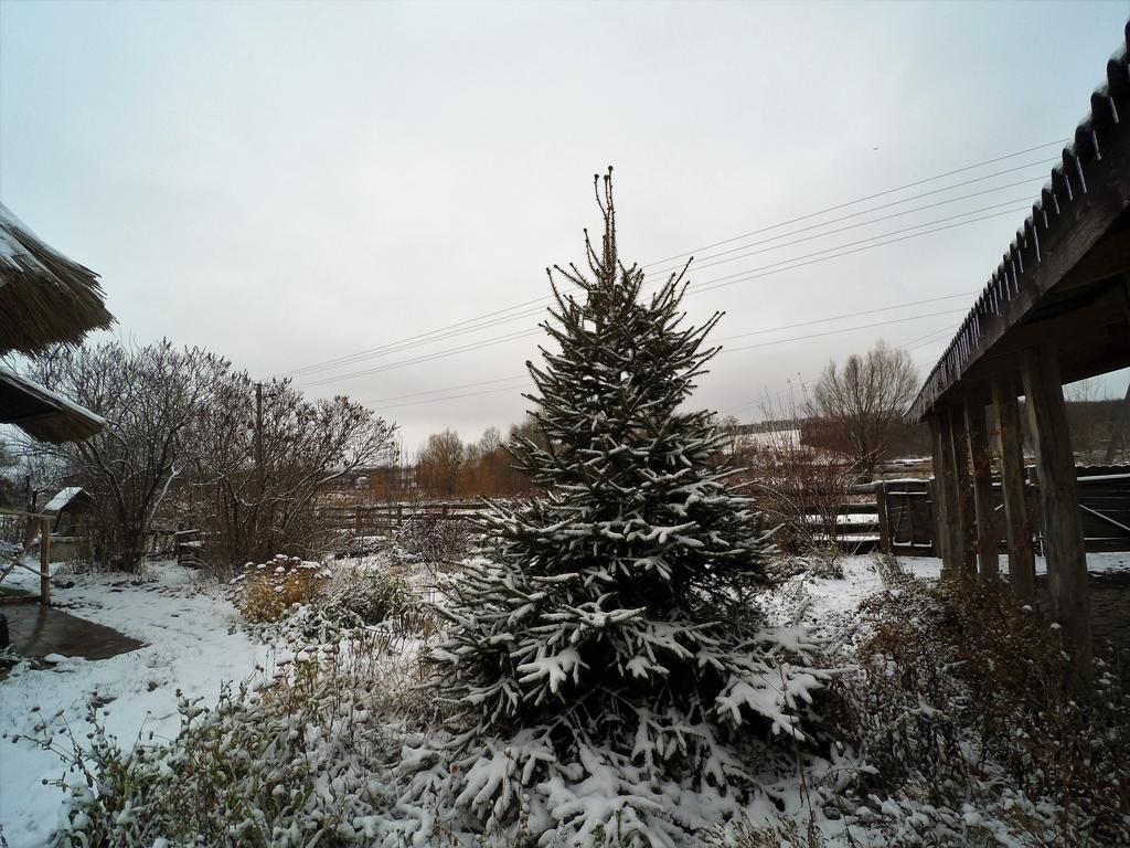 Koryakivskyi Rai Guest House Dmitrenki ภายนอก รูปภาพ
