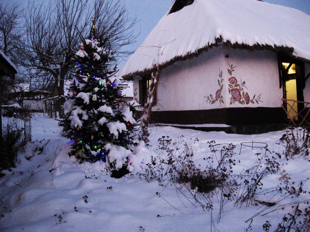 Koryakivskyi Rai Guest House Dmitrenki ภายนอก รูปภาพ