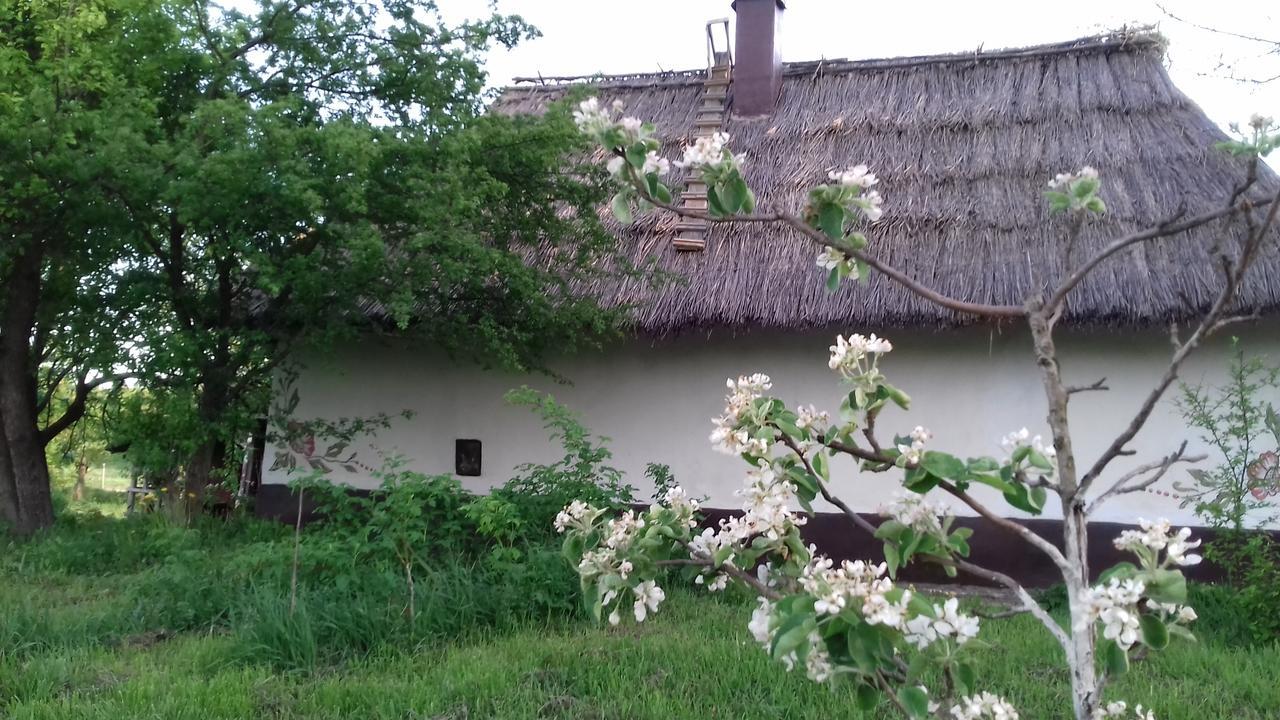Koryakivskyi Rai Guest House Dmitrenki ภายนอก รูปภาพ