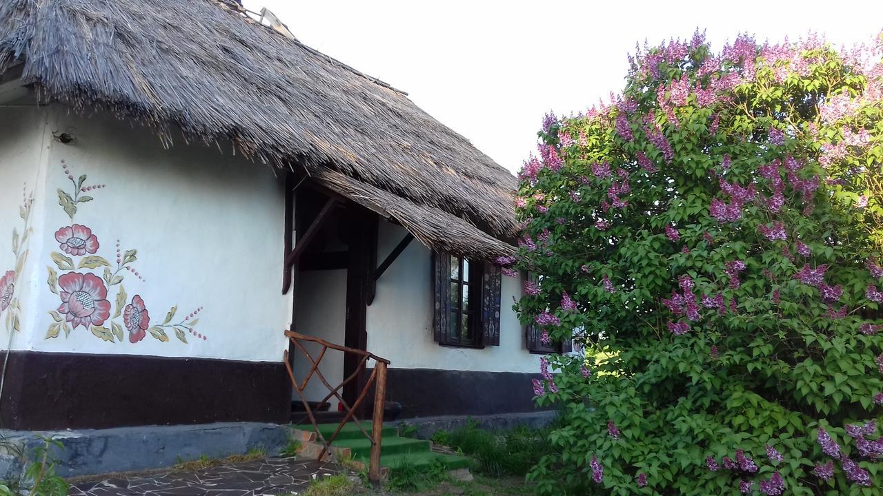 Koryakivskyi Rai Guest House Dmitrenki ภายนอก รูปภาพ