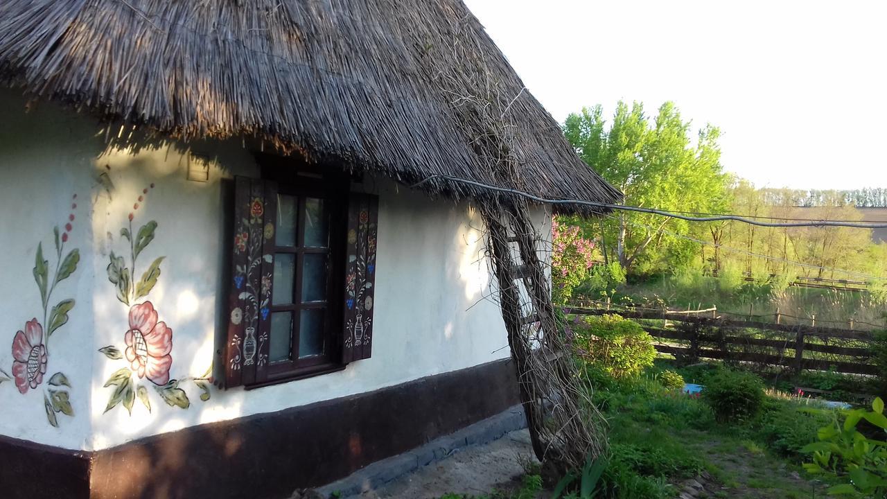 Koryakivskyi Rai Guest House Dmitrenki ภายนอก รูปภาพ