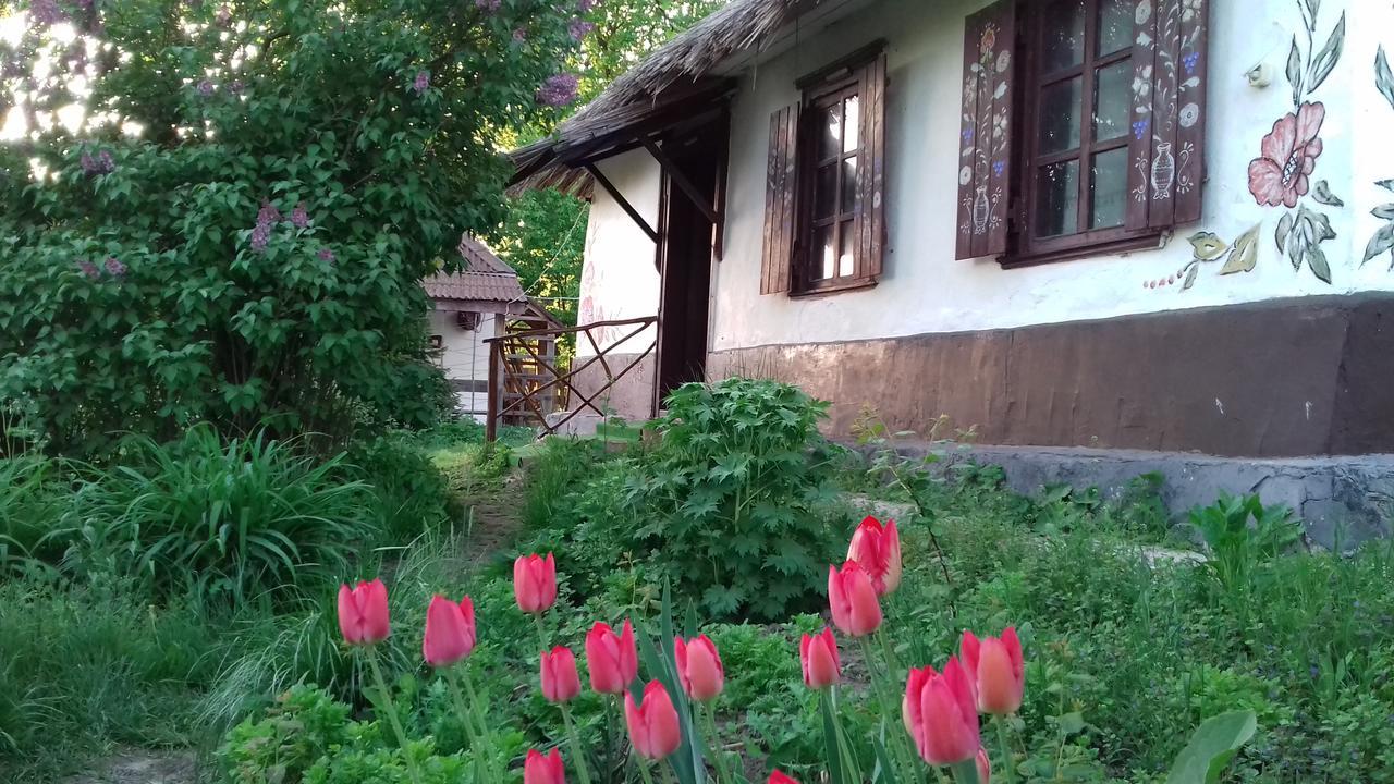 Koryakivskyi Rai Guest House Dmitrenki ภายนอก รูปภาพ