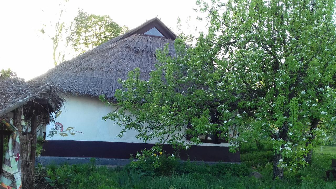 Koryakivskyi Rai Guest House Dmitrenki ภายนอก รูปภาพ