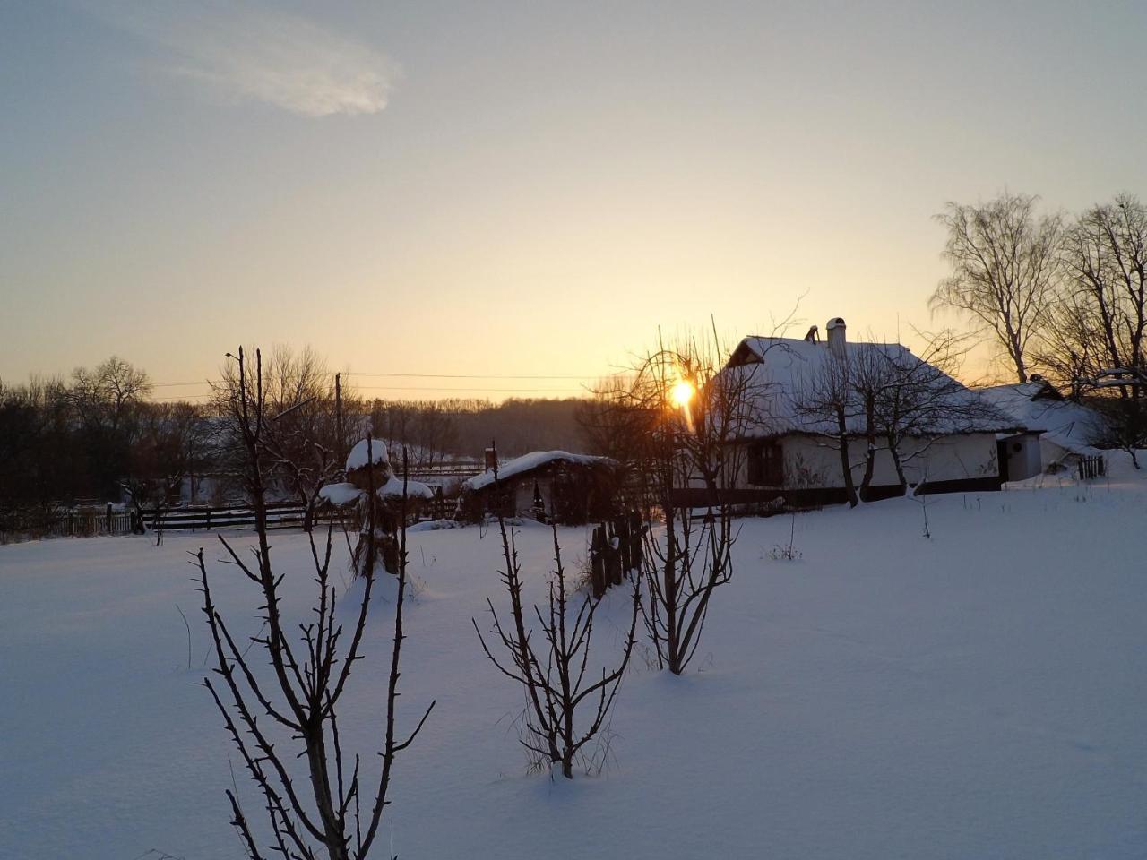Koryakivskyi Rai Guest House Dmitrenki ภายนอก รูปภาพ