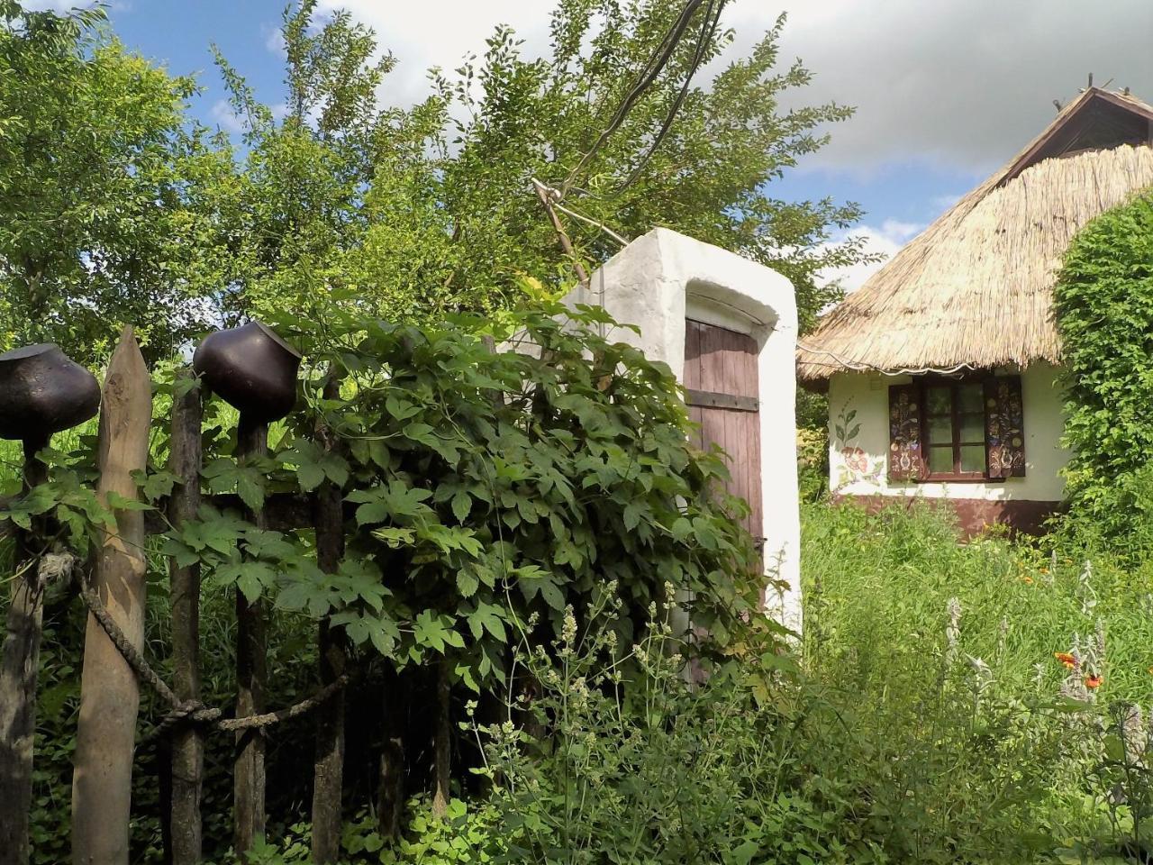 Koryakivskyi Rai Guest House Dmitrenki ภายนอก รูปภาพ
