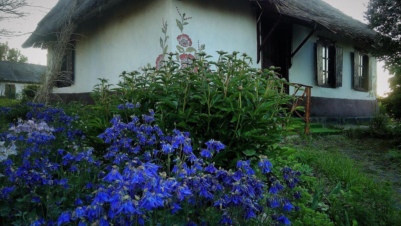 Koryakivskyi Rai Guest House Dmitrenki ภายนอก รูปภาพ
