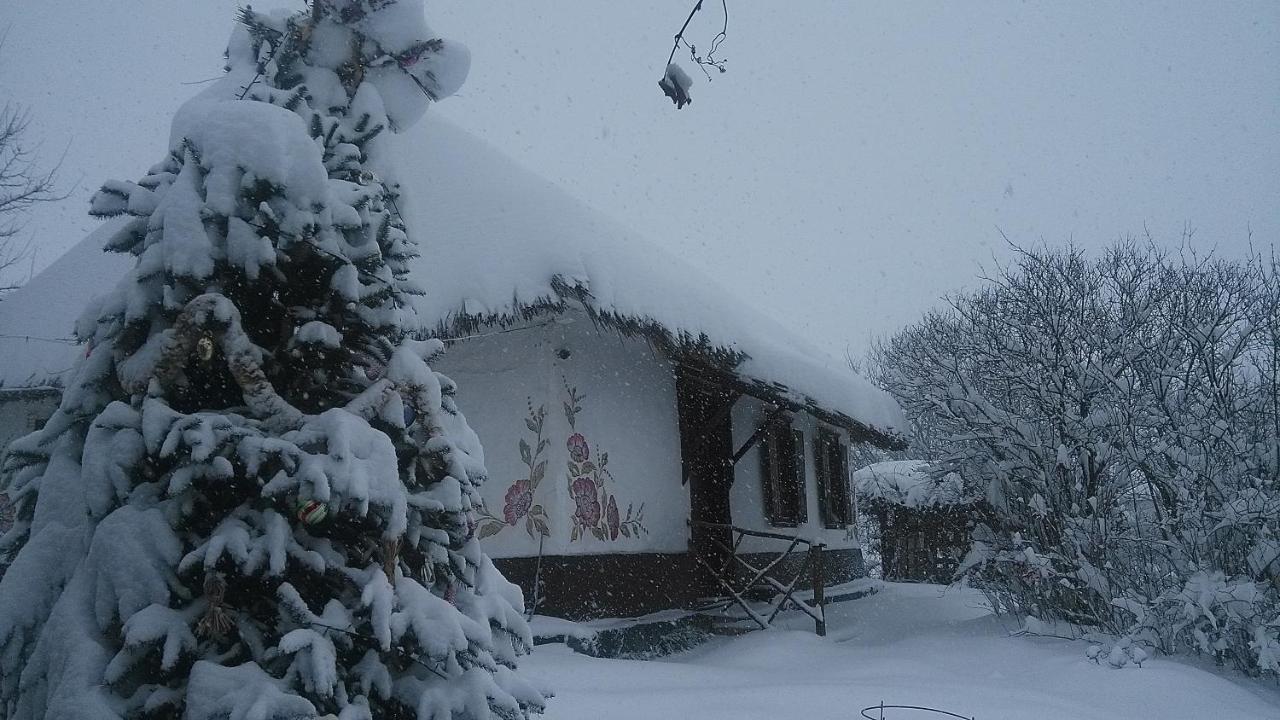 Koryakivskyi Rai Guest House Dmitrenki ภายนอก รูปภาพ